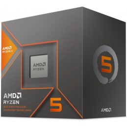 AMD Ryzen 5 8600G Retail...